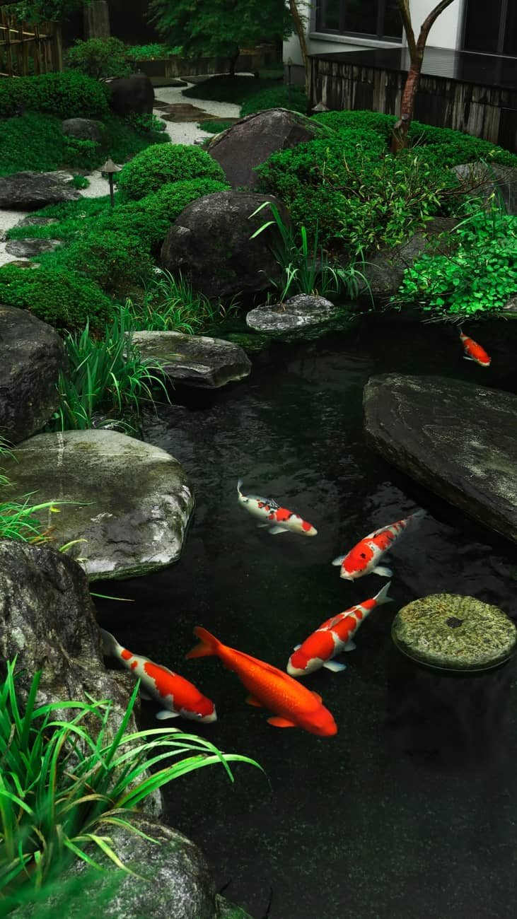 💧 미타라시 연못 (미타라시이케) 이미지 8